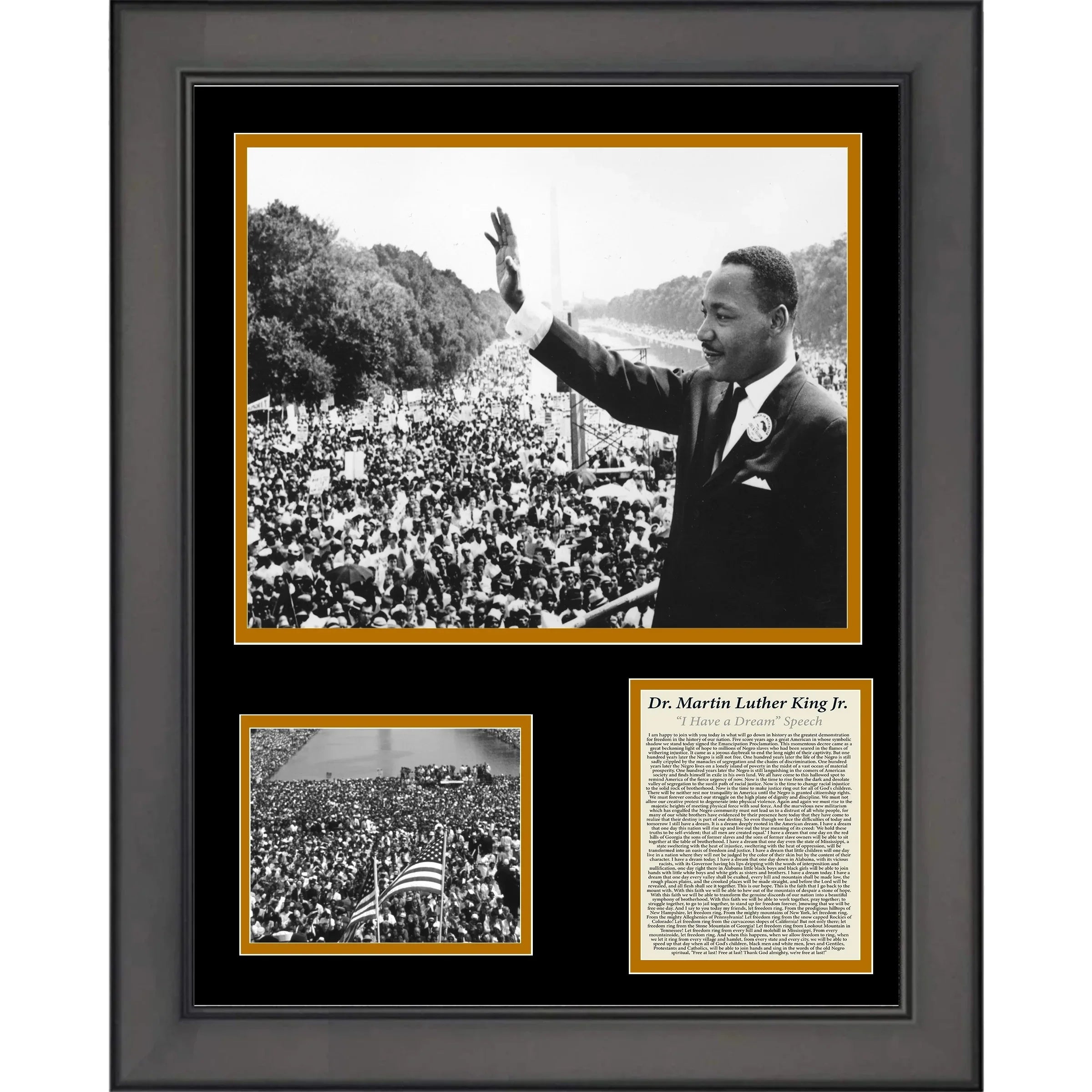 Framed Dr. Martin Luther King Jr. I Have a Dream Sizepeech 12x15 Photo Collage