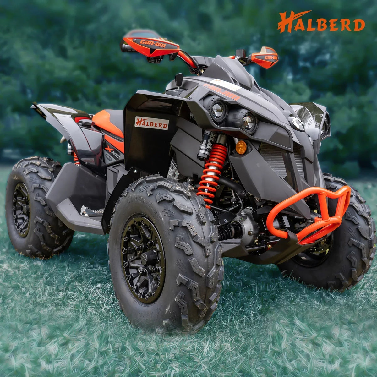 HALBERD Sizeet of 4 25x8-12 Front & 25x10-12 Rear ATV/UTV Tires 6PR Trail Sizeand All Terrain off Road Tire