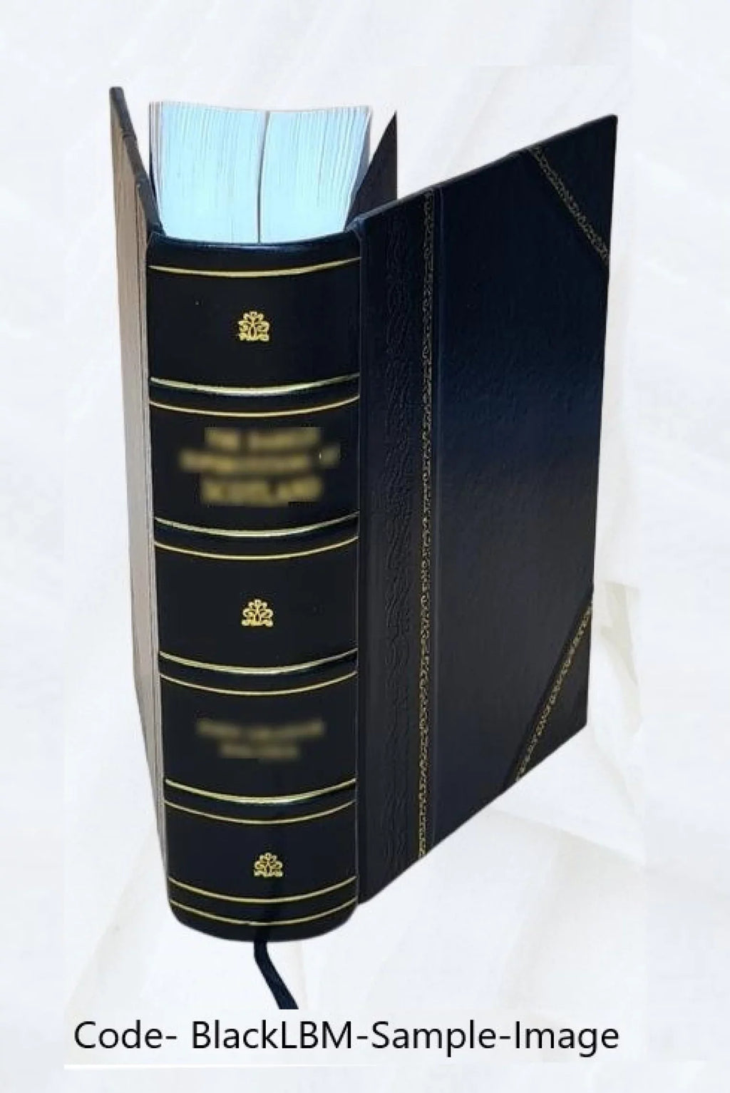 La Revista de Buenos Aires Volume 9 1871 [Leather Bound]