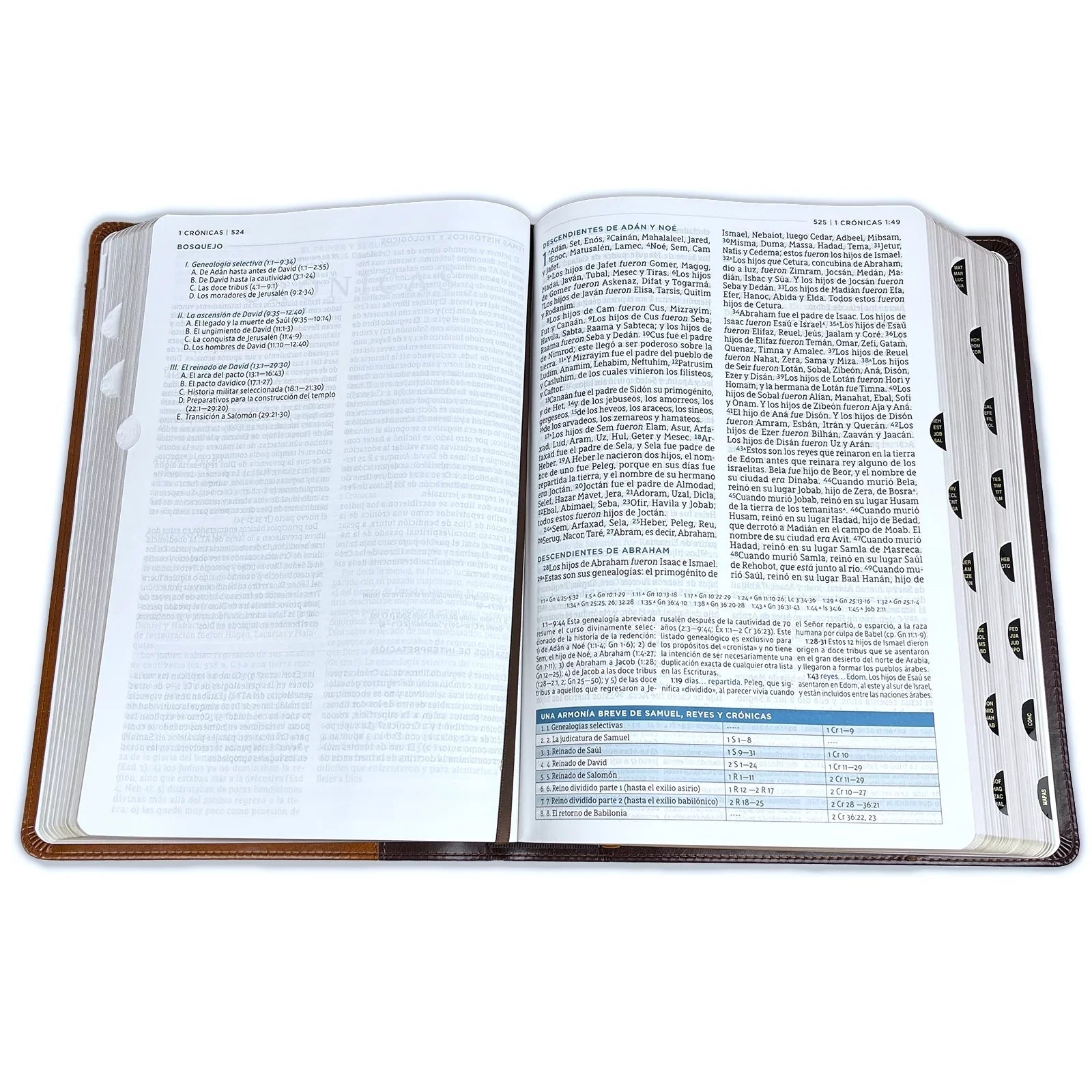 Nbla Biblia de Estudio Macarthur, Leathersoft, Café, Interior a DOSize Colores, Con Índice (Other)