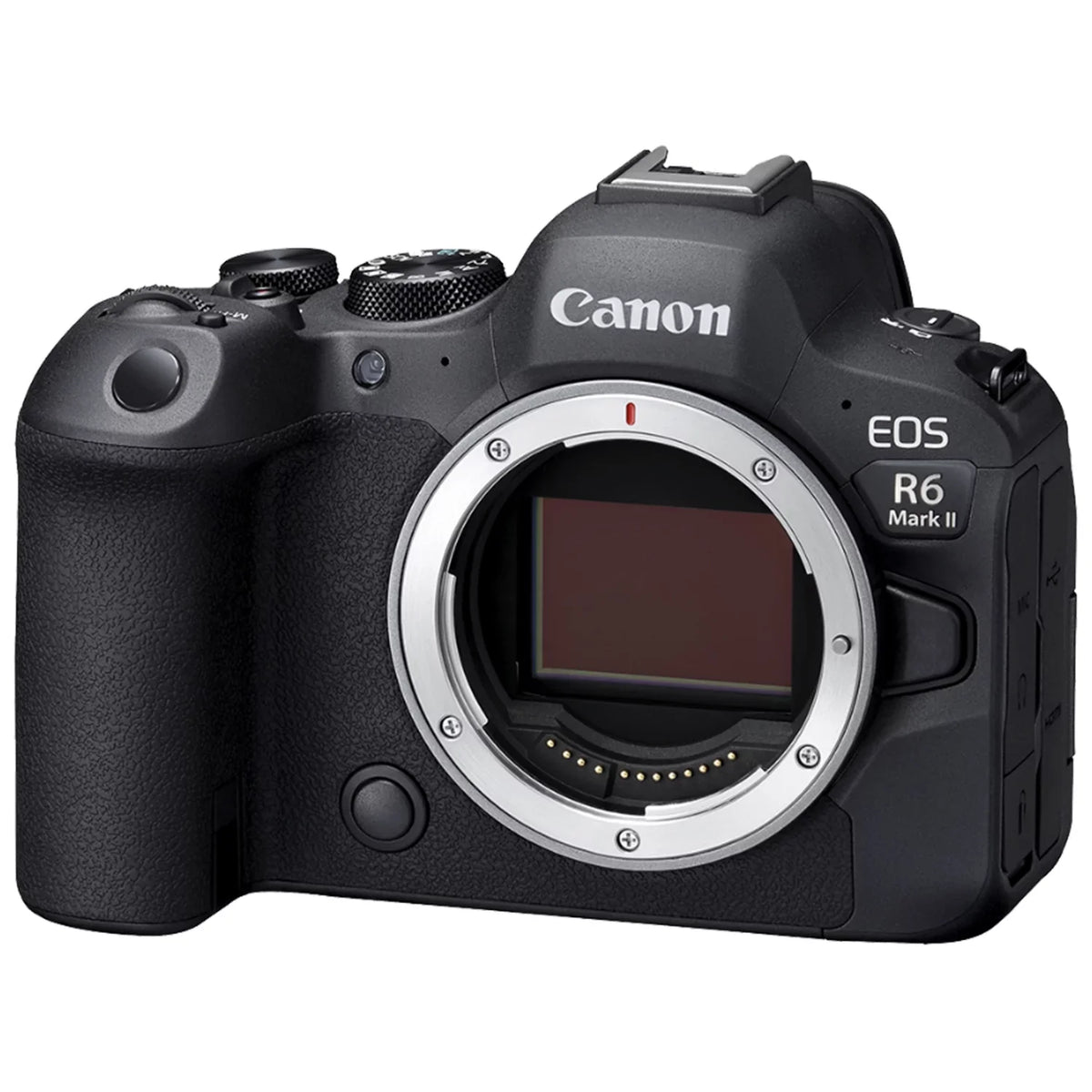 Canon EOSize R6 Mark II Mirrorless Camera (Body) with SizeanDisk 64GB Memory Card + Case + LED Flash + ZeeTech Accessory Bundle