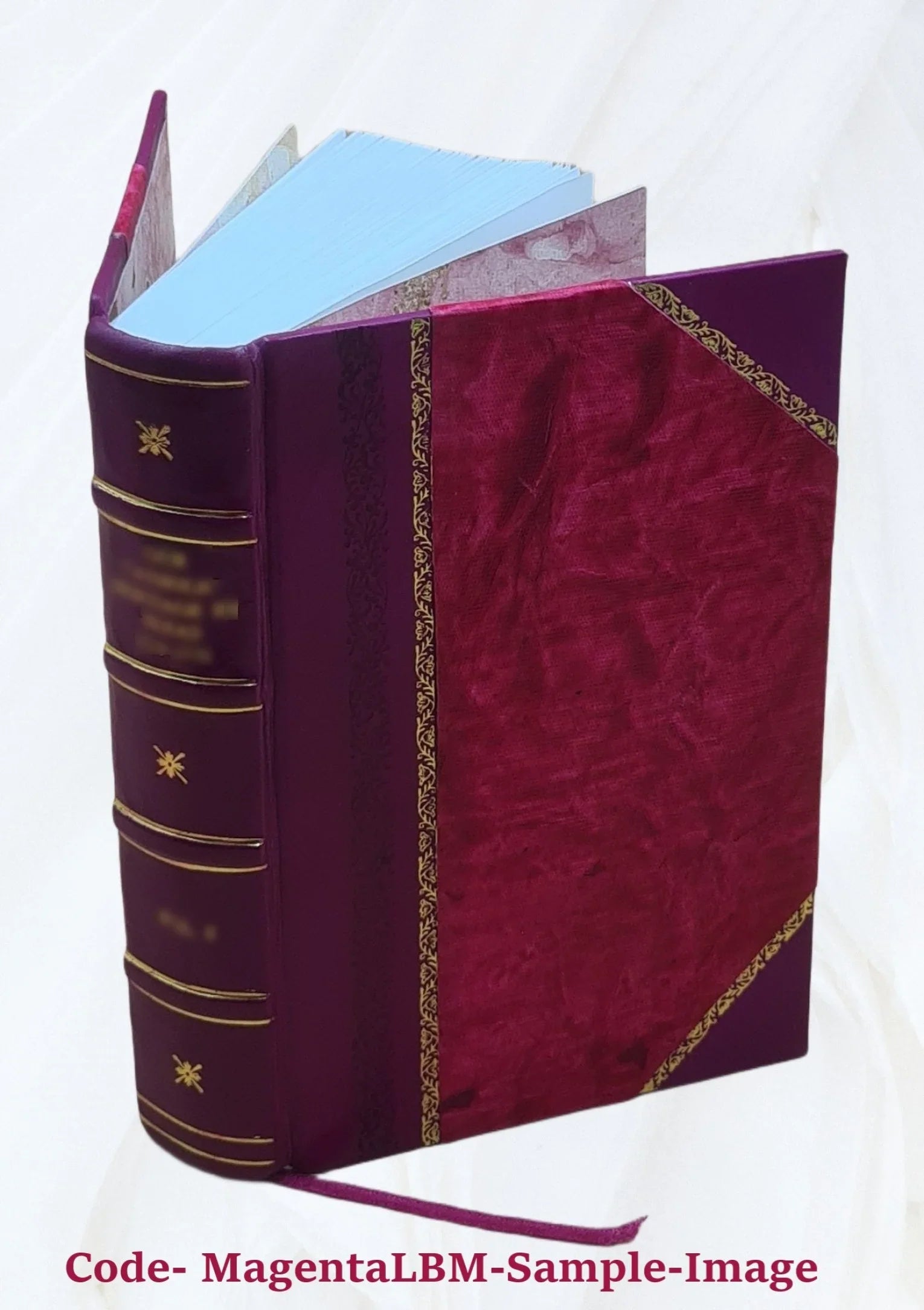[(Sizeoundex) index to 1900 census, Alabama] Volume Alabama - T1030 - H-400 Mary-H-430 Guy J. 1900 [Leather Bound]