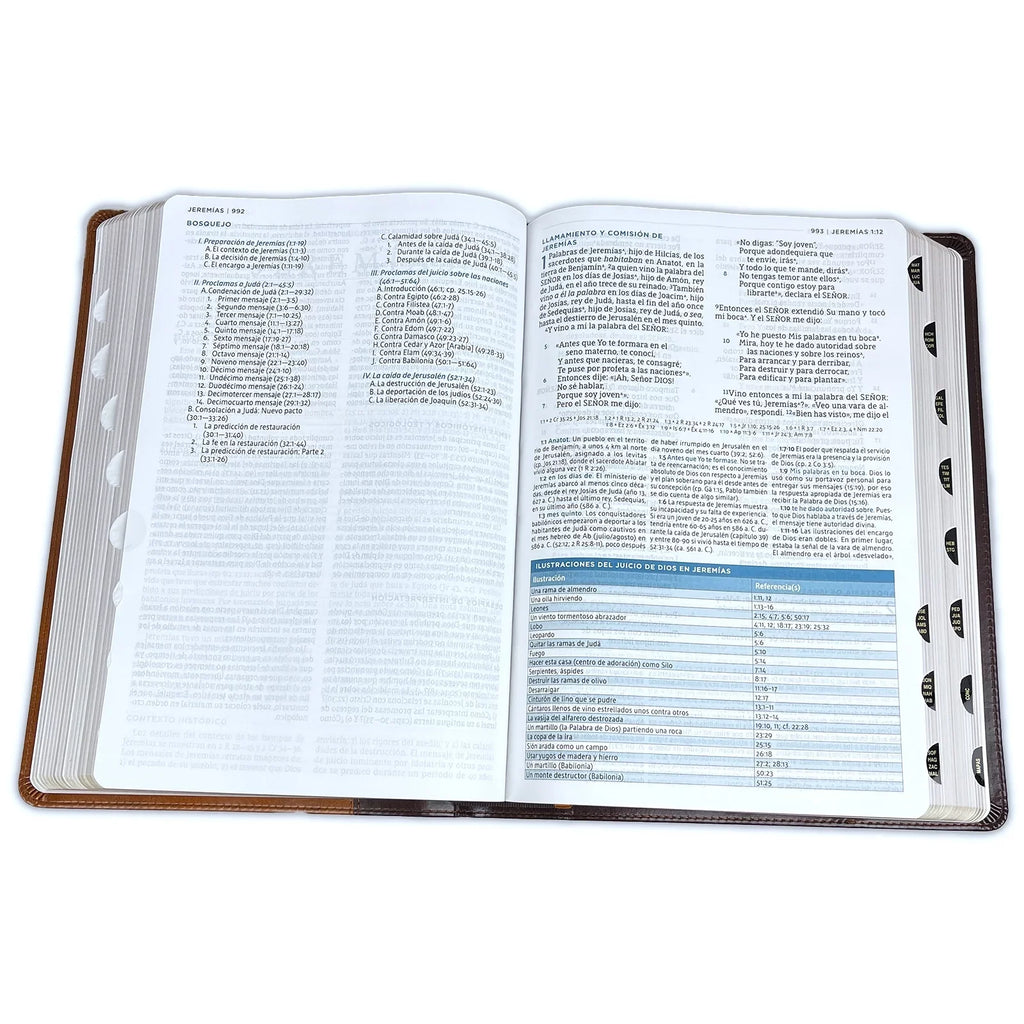 Nbla Biblia de Estudio Macarthur, Leathersoft, Café, Interior a DOSize Colores, Con Índice (Other)