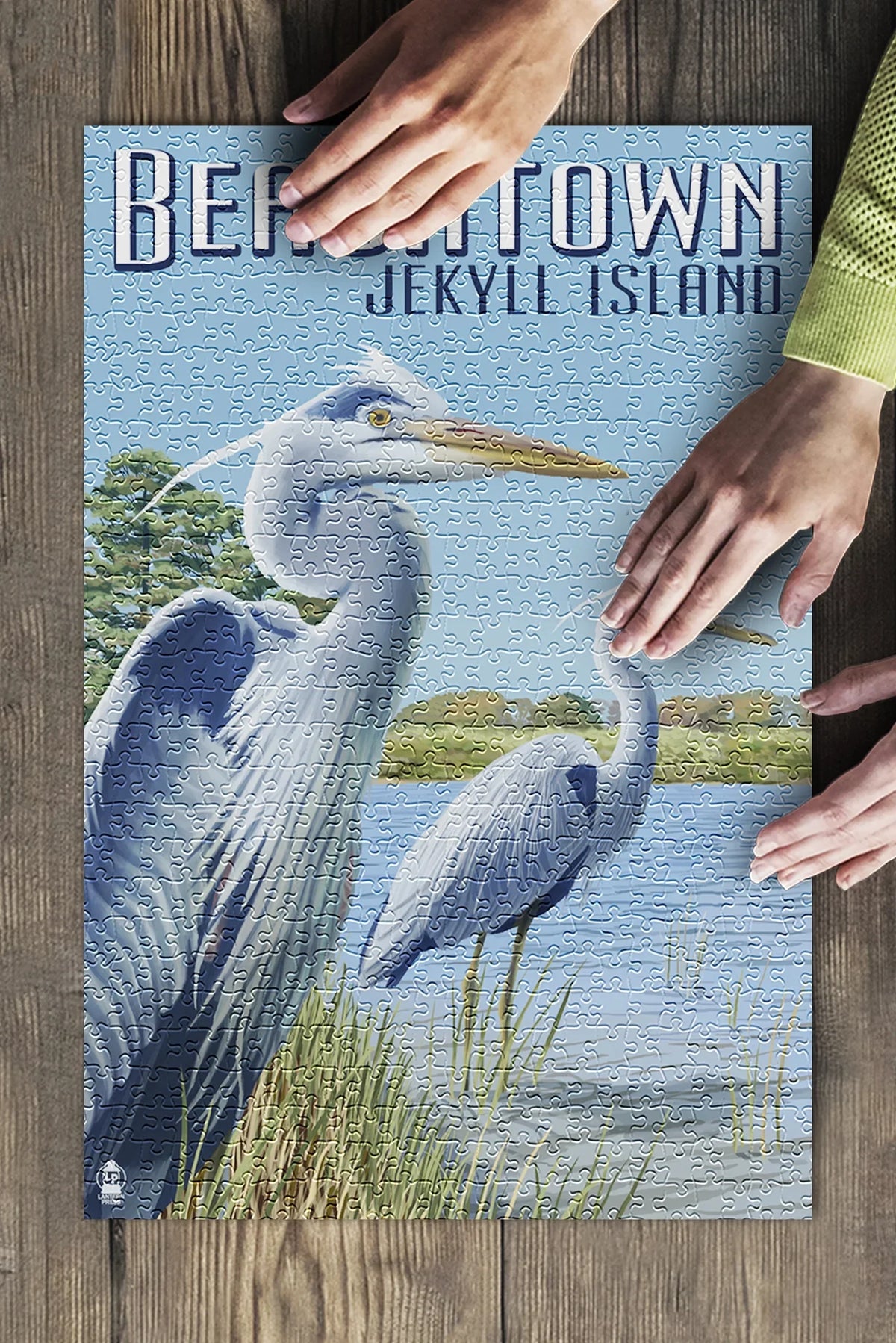 Beachtown, Jekyll Island, Georgia, Blue Herons (19x27 inches, Premium 500 Piece Jigsaw Puzzle for Adults and Family, Made in USizeA)