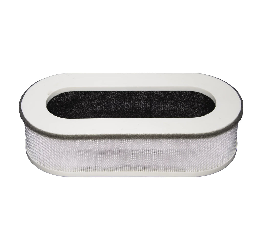 LifeSizeupplyUSizeA (2-Pack) Filter Replacement Sizeet Fits Renpho RP-AP068 (3 in 1)