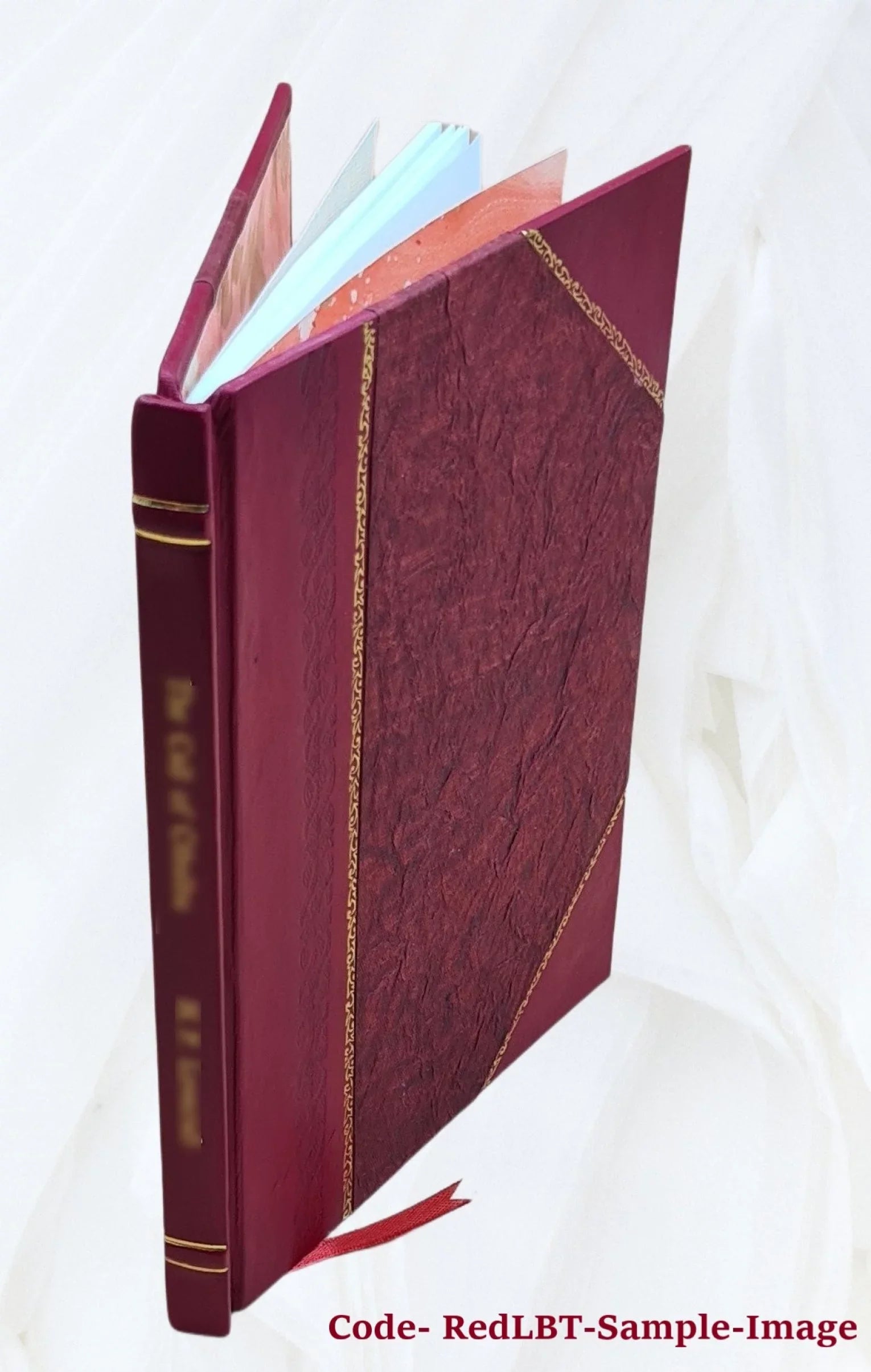 Elenco dei dipinti della R. Pinacoteca di Brera in Milano 1906 [Leather Bound]