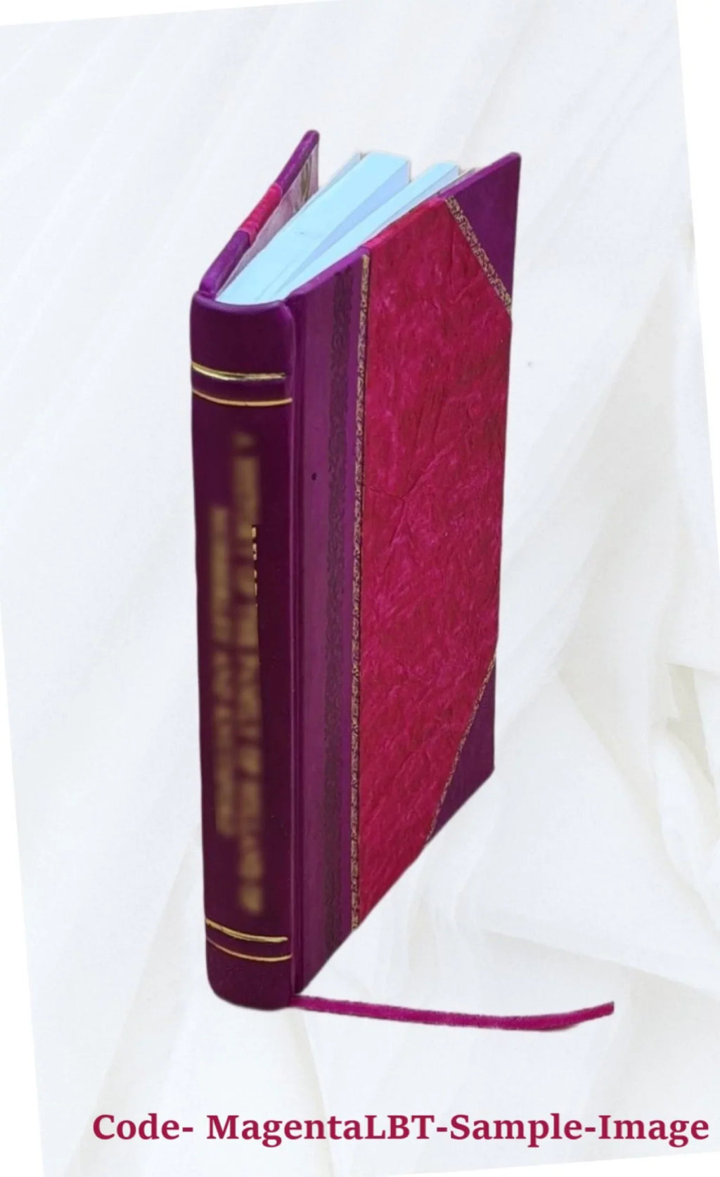Elenco dei dipinti della R. Pinacoteca di Brera in Milano 1906 [Leather Bound]