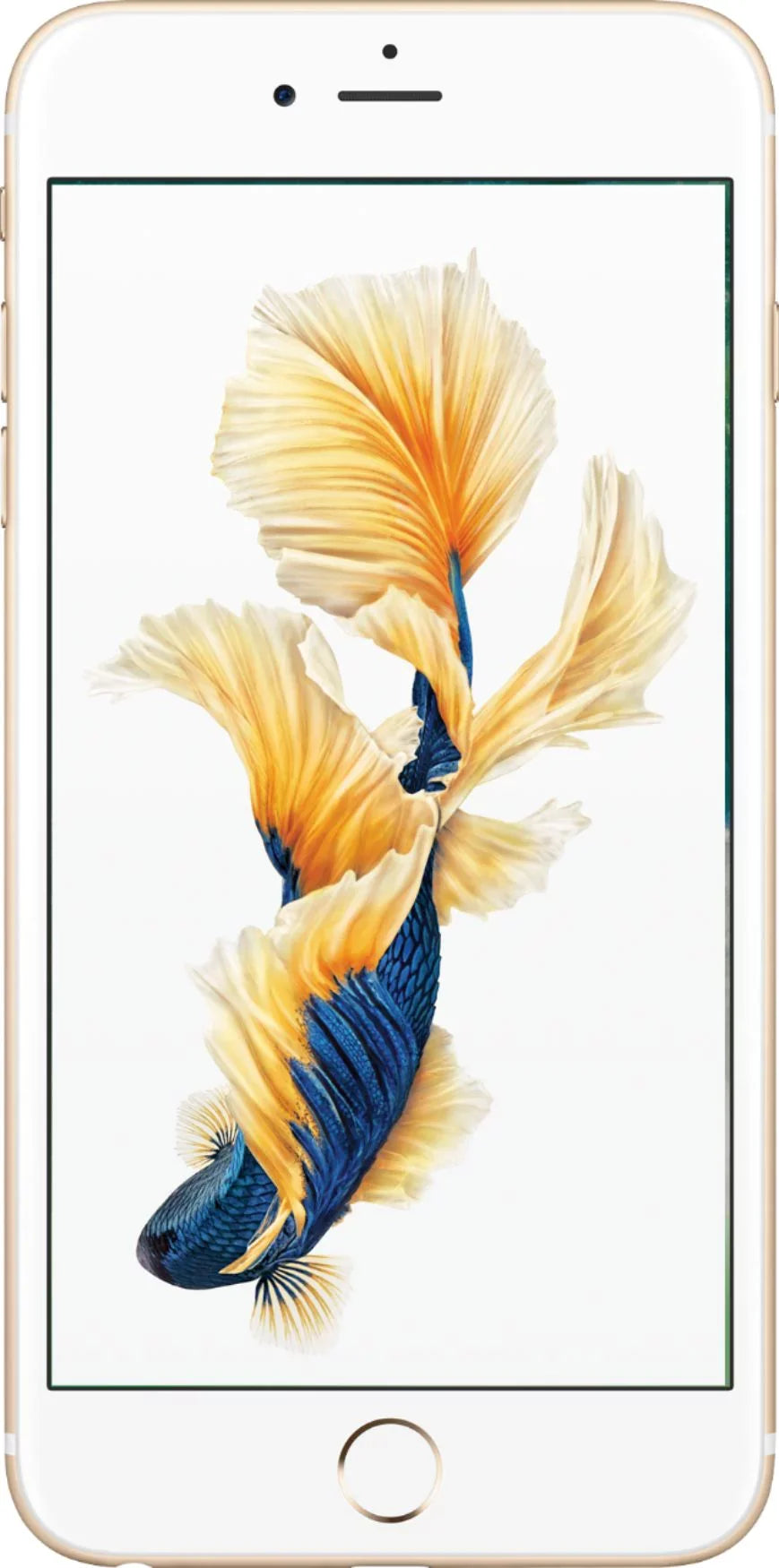 Pre-Owned iPhone 6Size 64GB Gold Unlocked + Sizepeed Talk Sizeim Card (Refurbished: Good)