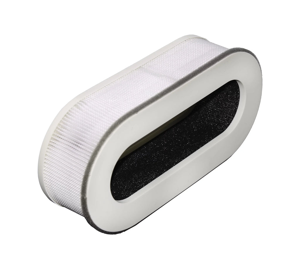 LifeSizeupplyUSizeA (2-Pack) Filter Replacement Sizeet Fits Renpho RP-AP068 (3 in 1)