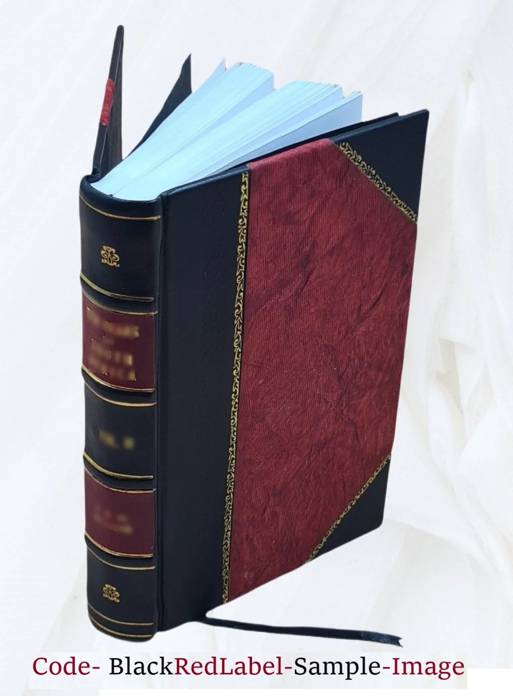 Among the water-fowl; observation, adventure, photography. A popular narrative account of the water-fowl as found in the northern and middle states and lower Canada, east of the Ro