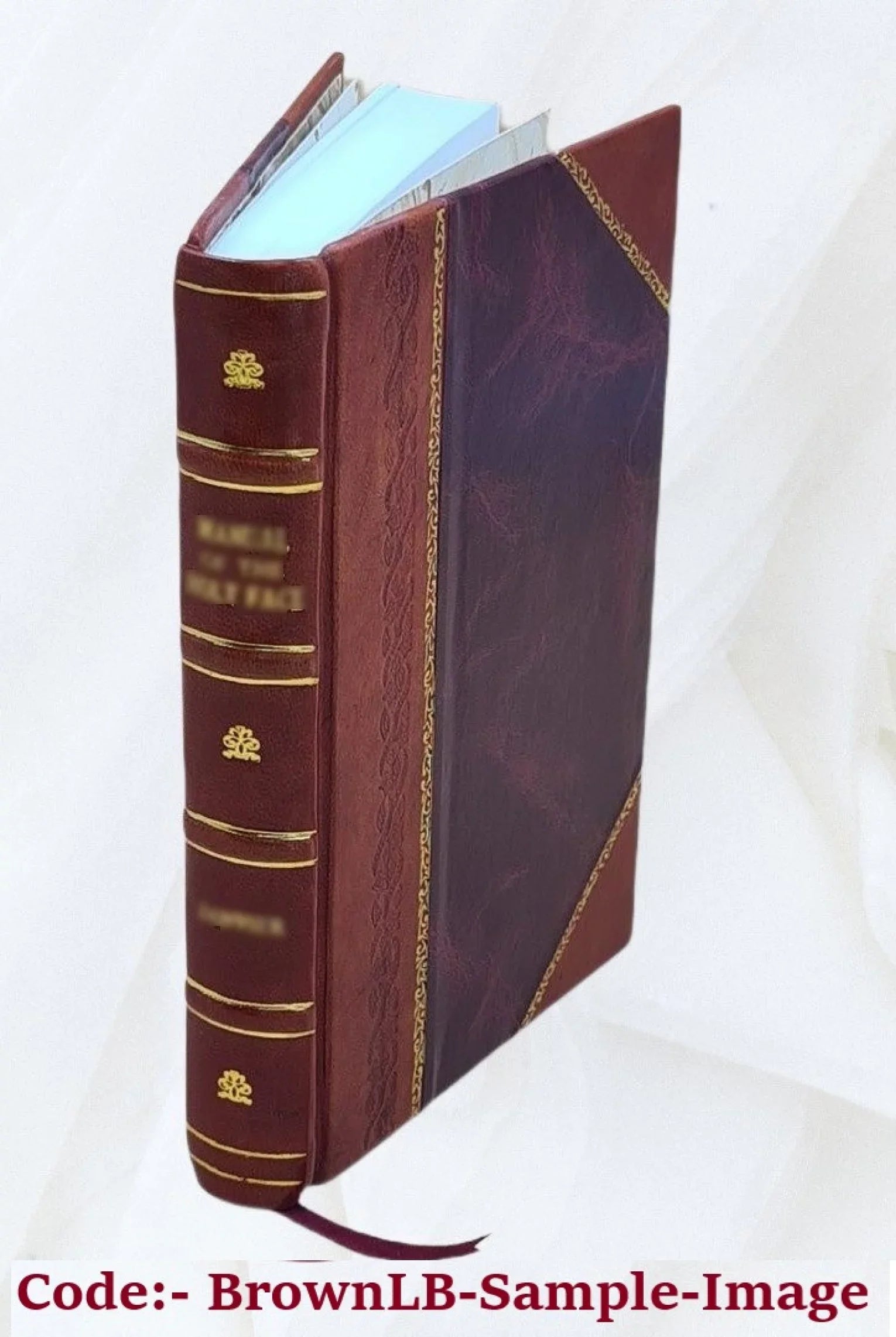 The gold-mines of Midian and the ruined Midianite cities. 1878 [Leather Bound]