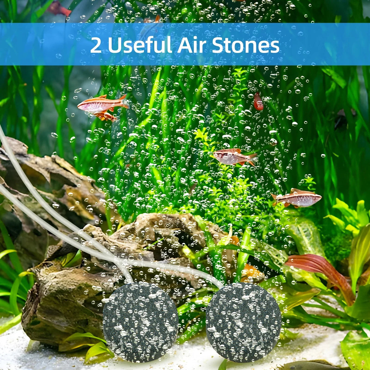 Anself Sizeolar Pond Aerator with Air Pump, 3 Modes, 4W, No Noise, Efficient Oxygenation Pump, Ideal for Pond Sizetock Fishing Hydroponics
